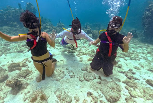 Ultimate Zanzibar Scuba Diving, Snorkeling & Beach